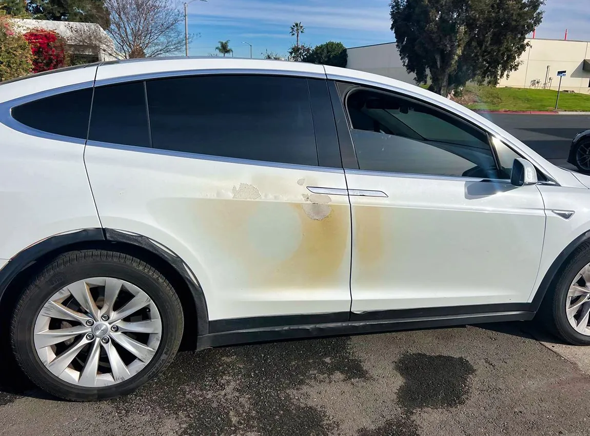 White Tesla Model X with paint discoloration and damage on rear door panel