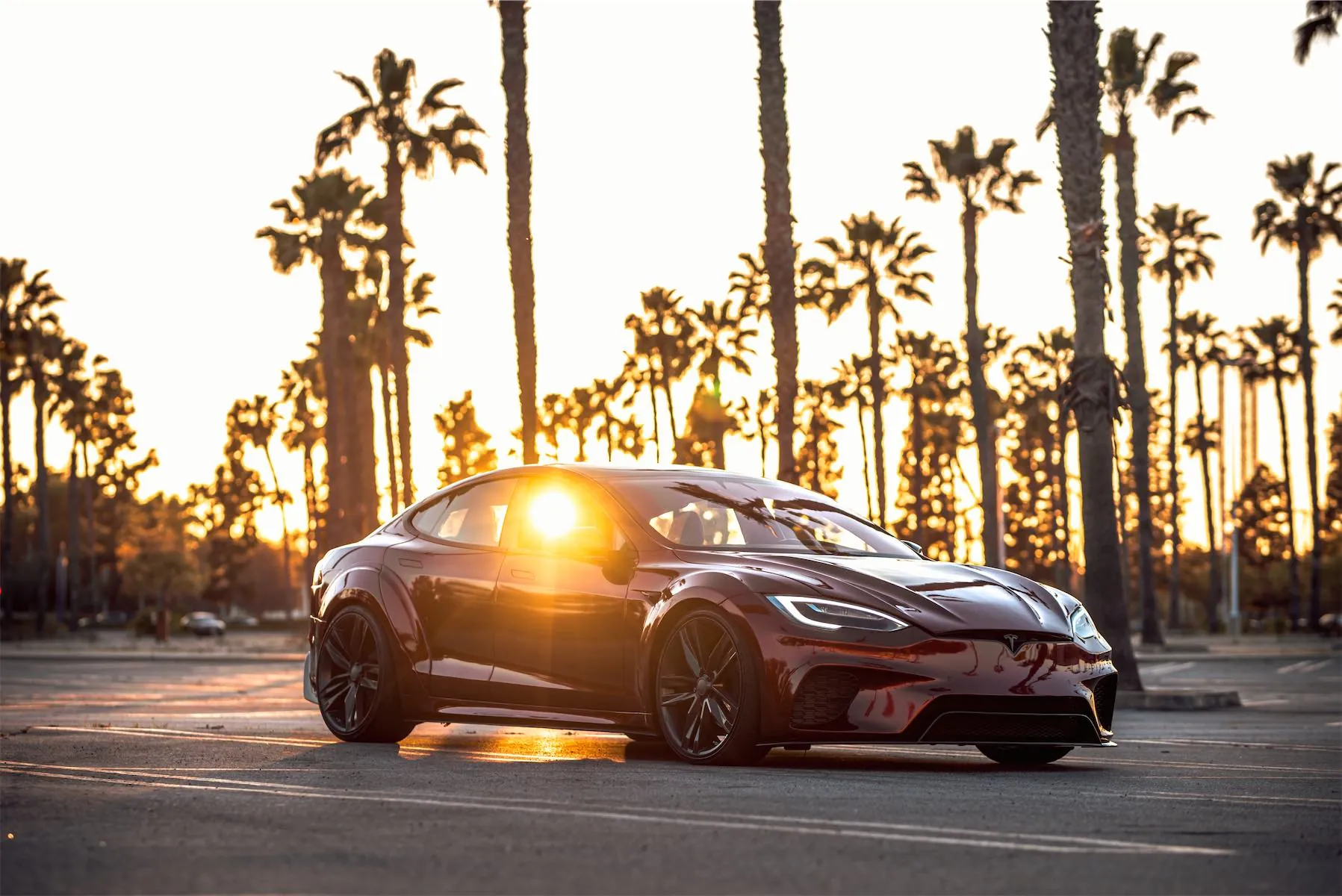 Wild Tesla project: dark red Tesla Model S widebody among palm trees at sunset