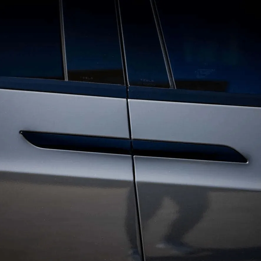 Close-up of Tesla Model X door handle and black trim on silver body panel