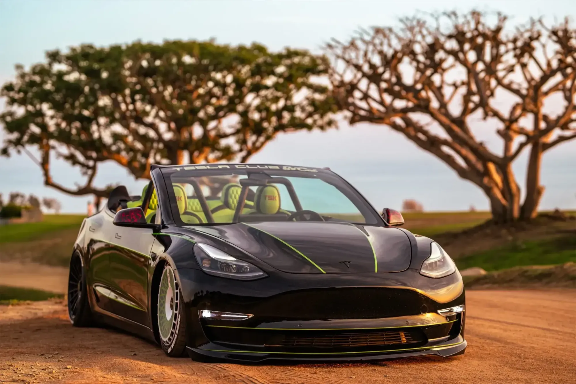 Roofless Tesla project: black Tesla Model 3 convertible with roll bar and green accents