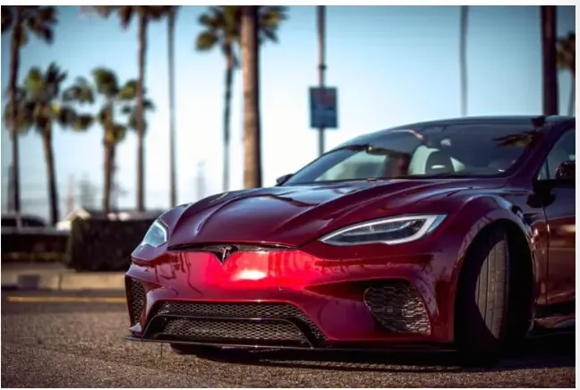 Wild Tesla