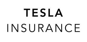 Fisker Ocean collision repair service icon or badge graphic
